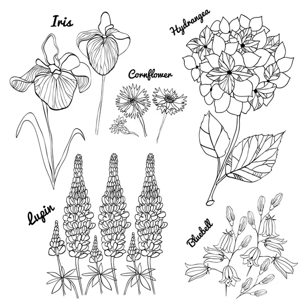 vektör çiçekli set. 