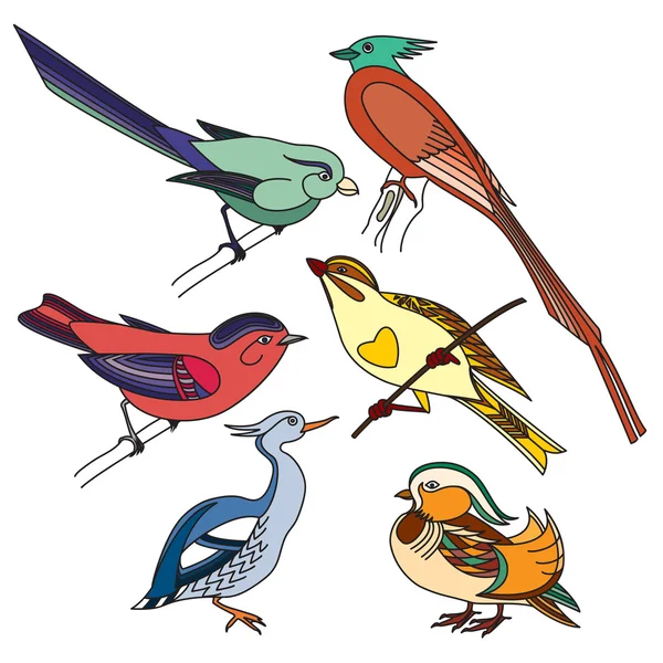 Ensemble d'oiseaux différents. Illustration colorée . — Image vectorielle