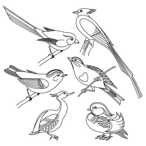 Farklı kuş kümesi. Siyah-beyaz resim.