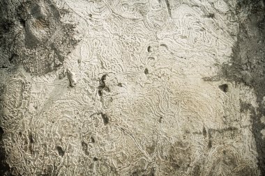 Grunge çimento yüzey dokusunu arka plan