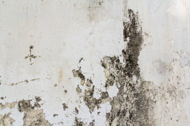 Grunge çimento yüzey dokusunu arka plan