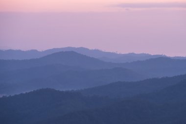 Güzel alacakaranlık yatay yağmur ormanlarında