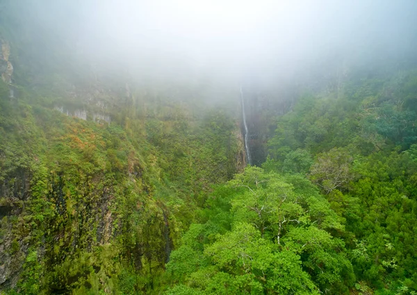 緑の植生に覆われた急な峡谷に霧から落下リスコ滝の空中ビュー 自然を背景に ポルトガルのマデイラ島でのハイキング — ストック写真