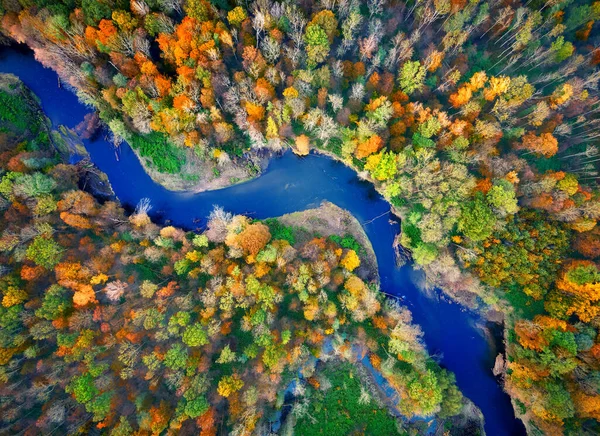 Vue Aérienne Verticale Une Rivière Sinueuse Bleu Foncé Travers Forêt — Photo