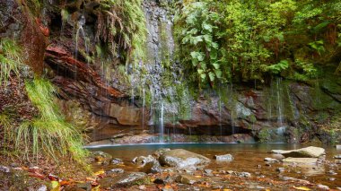 25 Fontes şelalesi ve doğal havuz. Yürüyüş noktası, Rabacal 'da, Madeira Adası' ndaki Paul da Serra..