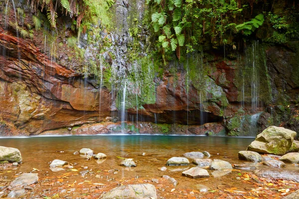 25个枫树瀑布和天然水池 位于拉巴卡尔的登山口 位于马德拉岛的Paul Serra — 图库照片