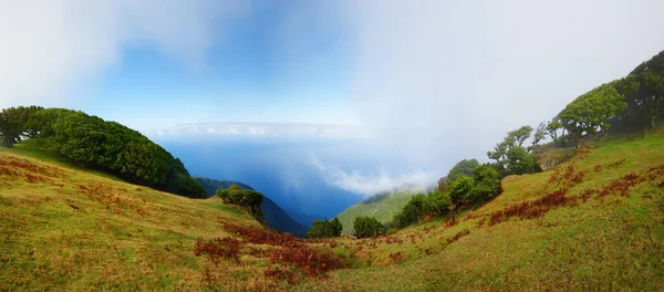 親愛なる森 神秘的な雰囲気の場所です パノラマビュー 険しい山々 深い谷 雲と海 観光地ファナル マデイラ島 — ストック写真