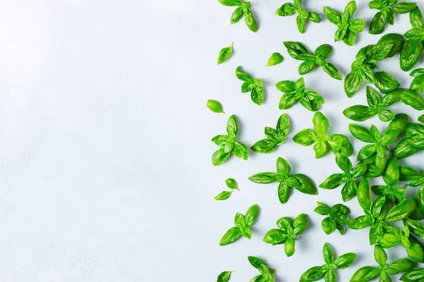 Fresh green basil on grey background — Stock Photo, Image