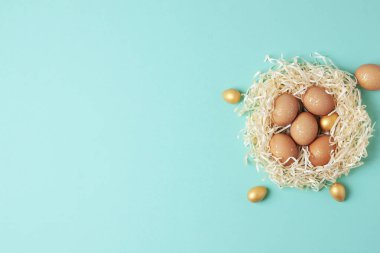 Mavi arka planda çiçekli paskalya yumurtaları olan bir yuva. Düz yat, boşluğu kopyala