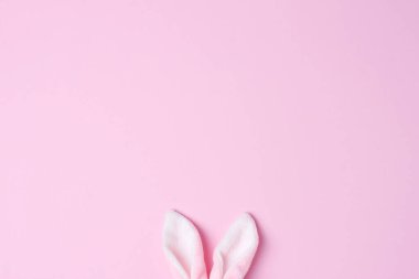 Pembe arka planda tavşan kulakları. Düz yat, boşluğu kopyala