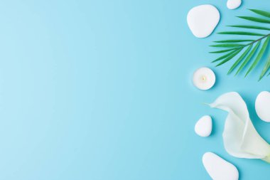 Beyaz taşlı, mumlu, palmiye yapraklı ve mavi üzerine beyaz çiçekli bir kaplıca. Düz yat, boşluğu kopyala