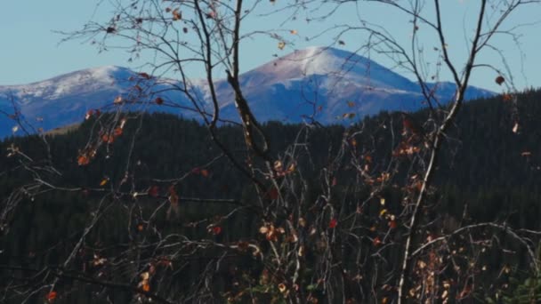 Howerla, prachtige bergen — Stockvideo