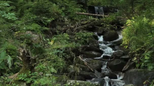 Удивительный водопад — стоковое видео