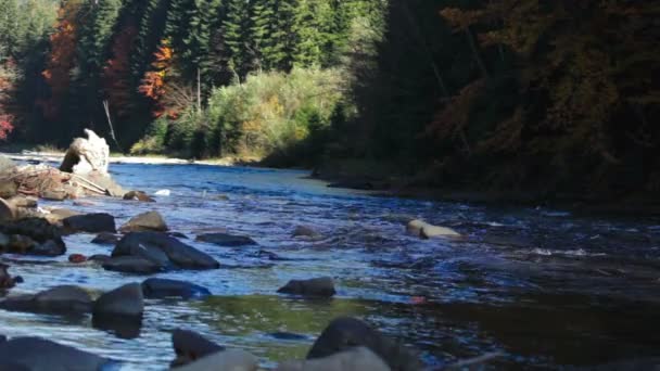 Hermoso río de montaña — Vídeos de Stock