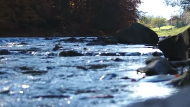 Hermoso río de montaña — Vídeos de Stock