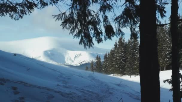놀라운 눈 덮인 산 — 비디오