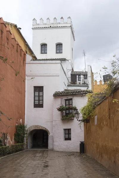 Seville ve bugün judera mahalle Santacruz denilen eski sokaklarında geziniyor — Stok fotoğraf