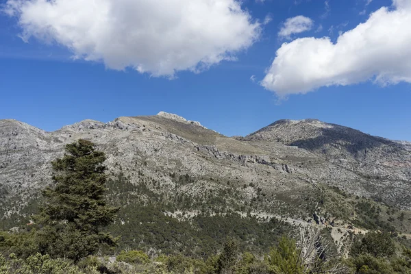 Természeti parkok Spanyolország, Sierra de las Nieves Malagában tartomány Andalúzia — Stock Fotó
