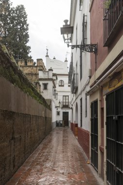 Seville ve bugün judera mahalle Santacruz denilen eski sokaklarında geziniyor