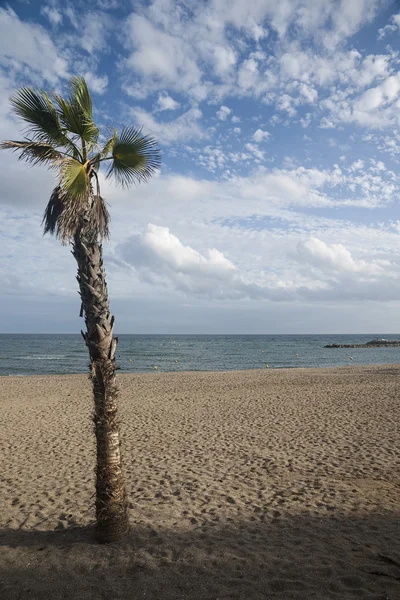 Beaches of the Costa del Sol, Marbella — Stock Photo, Image