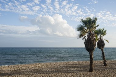 Costa del Sol, Marbella plajları