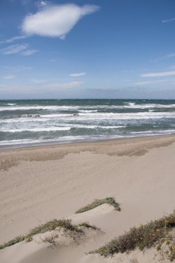 plaj sahil Marbella, Malaga