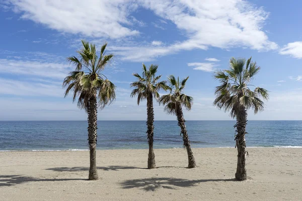 Plages de la Costa del Sol, Marbella — Photo