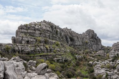 Doğa Spot torcal Antequera Malaga'da il Andalucia