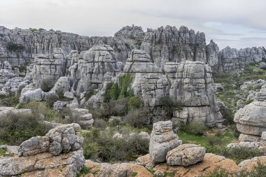Doğa Spot torcal Antequera Malaga'da il Andalucia