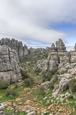 Doğa Spot torcal Antequera Malaga'da il Andalucia
