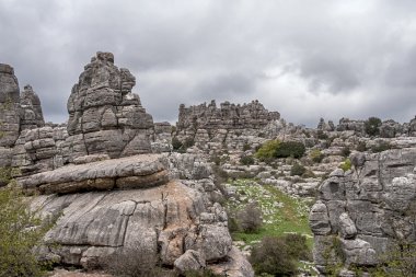 Doğa Spot torcal Antequera Malaga'da il Andalucia