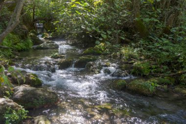 Cadiz 'deki El Bosque belediyesinde Majaceite nehrinin yolu.