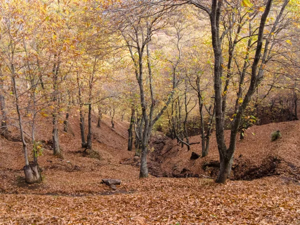 Stagione Autunnale Nella Valle Del Genal Andalusia — Foto Stock