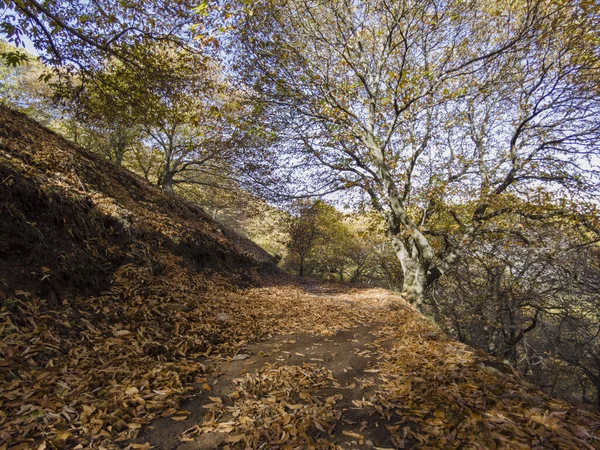 Época Outono Vale Genal Andaluzia — Fotografia de Stock