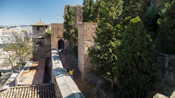 Old Nasrid Wall Alcazaba Malaga Andalusia — Stock Photo, Image