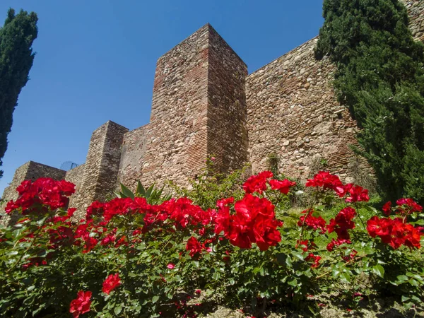 Antigua Muralla Nazarí Alcazaba Málaga Andalucía — Foto de Stock