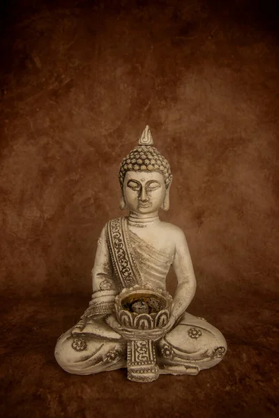 Fiatal Buddha Meditációs Állapotban — Stock Fotó