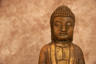 Genç Buda meditasyon aşamasında.