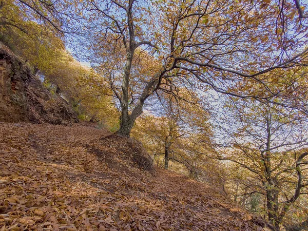 アンダルシアの一般的な谷の秋の色は — ストック写真