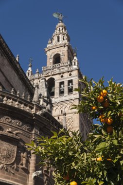 Seville, La Giralda anıtları
