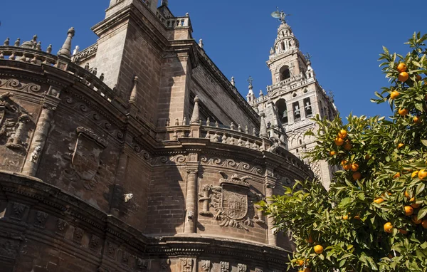 Monument i Sevilla, La Giralda — Stockfoto