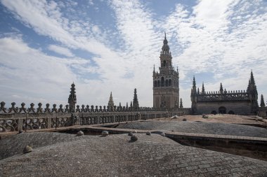 Seville kutsal Katedrali