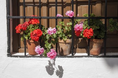 Mlaga Eyaleti, Andalusia Tajo de Ronda şehirde dolaşan