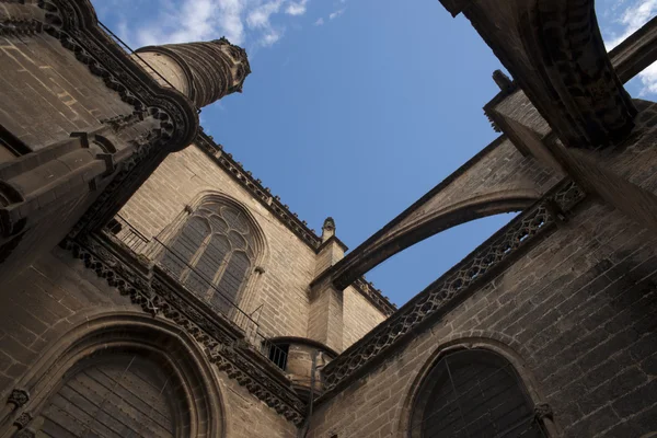 Täcker heliga katedralen i Sevilla, Andalusien — Stockfoto