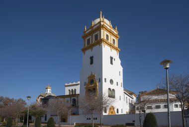 İspanyol köknar Sierra Bermeja, Malaga Tabiat Parkı