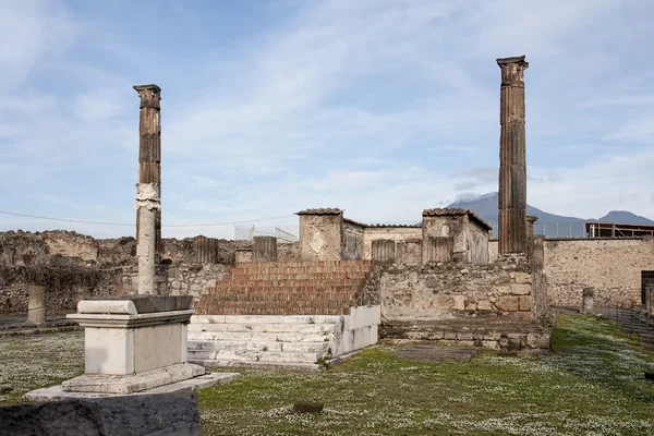 Jövőkép Ősi Romjai Római Város Pompeji Címere — Stock Fotó