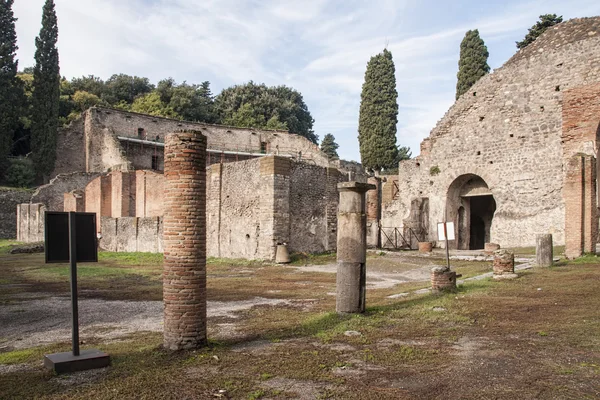 Jövőkép Ősi Romjai Római Város Pompeji Címere — Stock Fotó