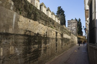 Seville ve bugün judera mahalle Santacruz denilen eski sokaklarında geziniyor