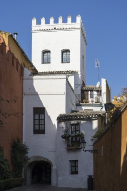 Seville ve bugün judera mahalle Santacruz denilen eski sokaklarında geziniyor