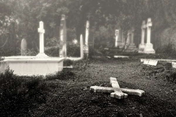 A tartomány Malaga angol temető — Stock Fotó